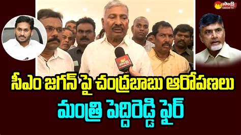 Peddireddy Ramachandra Reddy Fires On Chandrababu Over His Comments On