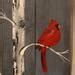 Wall Decor Cardinal On Birch Tree Pallet Wood Painting 11 Etsy