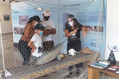 ESPAÇOS BALEIA JUBARTE EM PRAIA DO FORTE E VITÓRIA RECEBEM VISITANTES