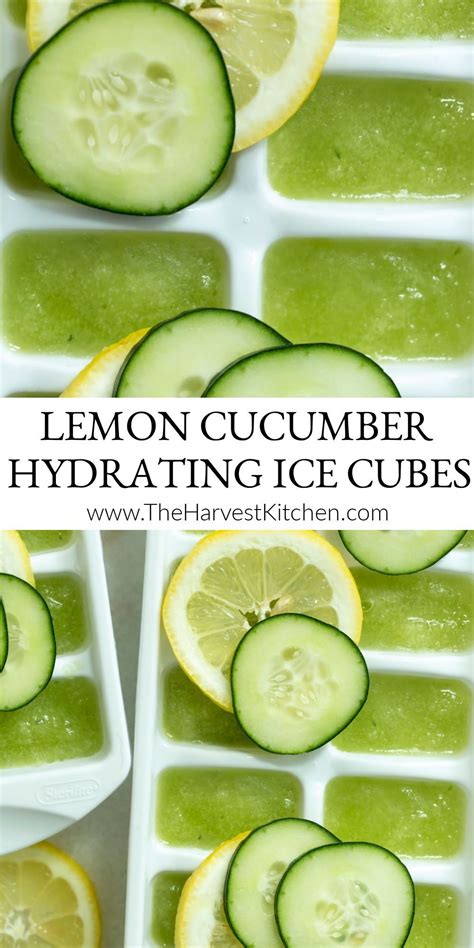 Hydrating Lemon Cucumber Ice Cubes | Recipe | Lemon cucumber, Cucumber ...