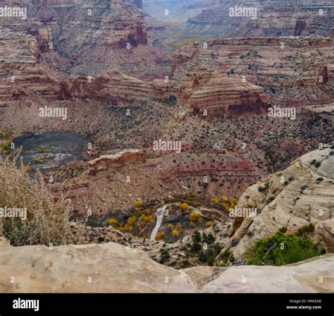 A Canyon In The Desert With The View From The Wedge Overlook In The San