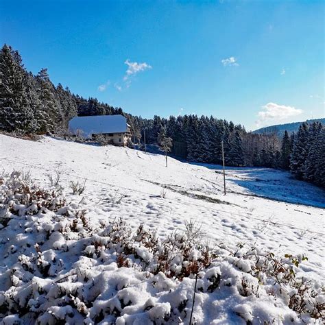 Erster Schnee In Tennenbronn Im Schwarzwald Jahr