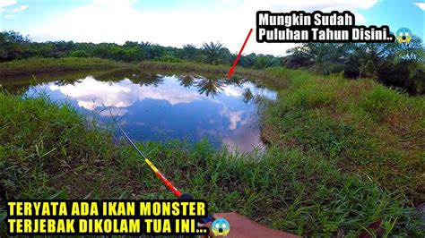 GAK NYANGKA Ternyata Disini Ada Ikan Monster Penunggu Kolam Tua YouTube