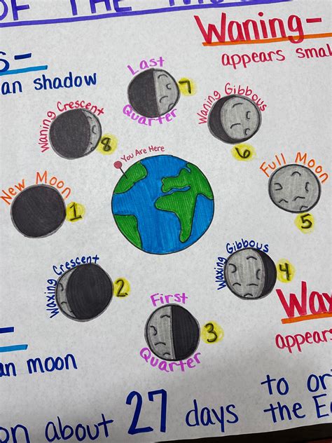 Moon Phases Anchor Chart For Elementary Middle And High School Etsy