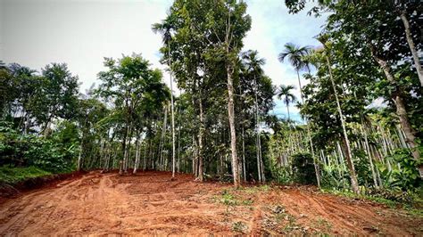 39 Lac 52 Cents Residential Plot For Sale In Kayyalamukku Wayanad