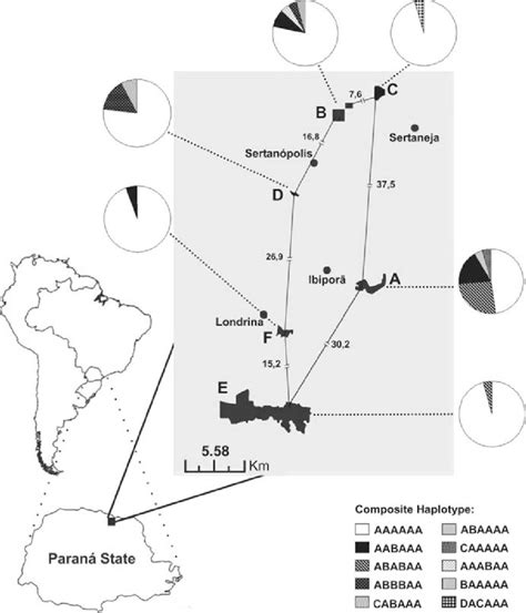 Geographic Distribution And Frequency Of Mtdna Composite Haplotypes