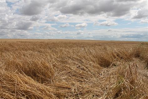 fields field summer  photo  pixabay pixabay