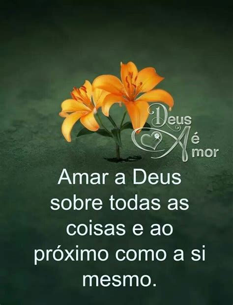 Amar a Deus sobre todas as coisas e ao próximo como a si mesmo Bom