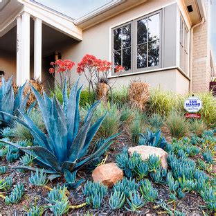 Blue Agave Landscape | Houzz