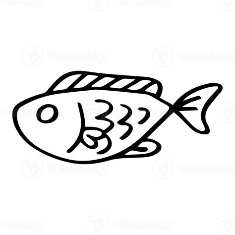 Fish Hand Drawn Illustration Png