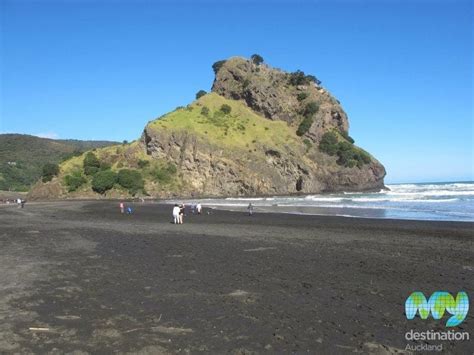 Piha Beach in Auckland | My Guide Auckland