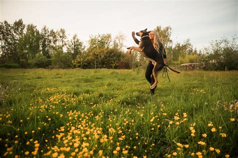 Obedience Training — Dogs on a Mission