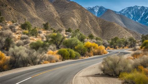 Best & Fun Things To Do + Places To Visit In Baker, California - Wondrous Drifter