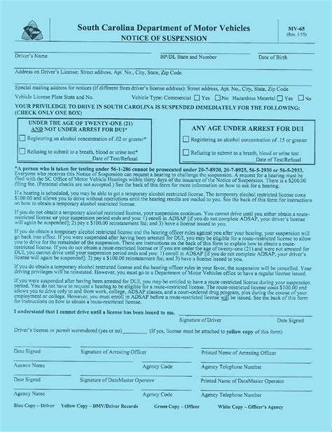 DUI Laws SC · [The Complete Guide]