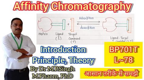 Affinity Chromatography Principle And Theory Instrumental Methods Of Analysis Bp701t L~78