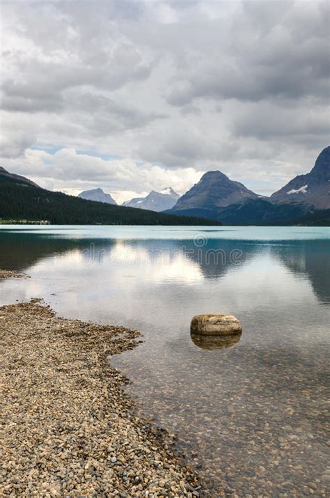 bow lake stock photo image  tourism park canada