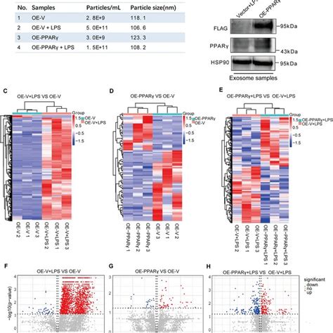 Go Terms And Kegg Pathways Analysis Of The Differentially Secreted