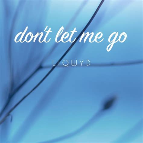 Dont Let Me Go Song And Lyrics By Liqwyd Spotify