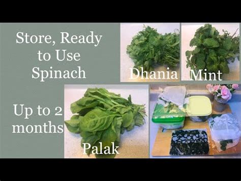 How To Store Leafy Vegetables For Long Tips To Keep Leafy Greens