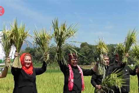 Mentan Butuh Ribu Hektare Sawah Di Jateng Sebagai Penyangga Pangan