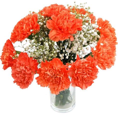 Orange Carnations Fabulous Flower Delivery From Clare Florist