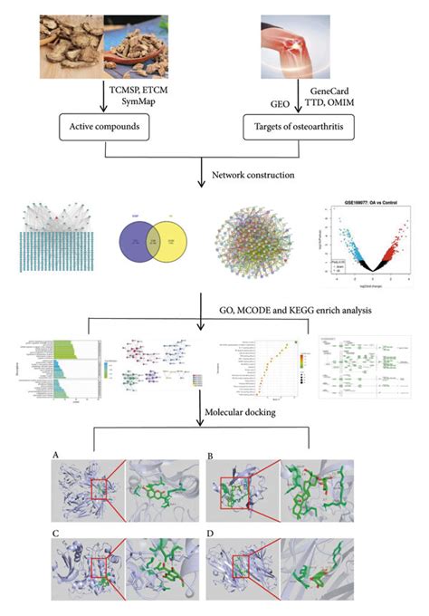 The Flowchart Of Network Pharmacology Based Prediction And Molecular