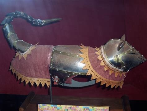 Cat armor for the battle of the internets!