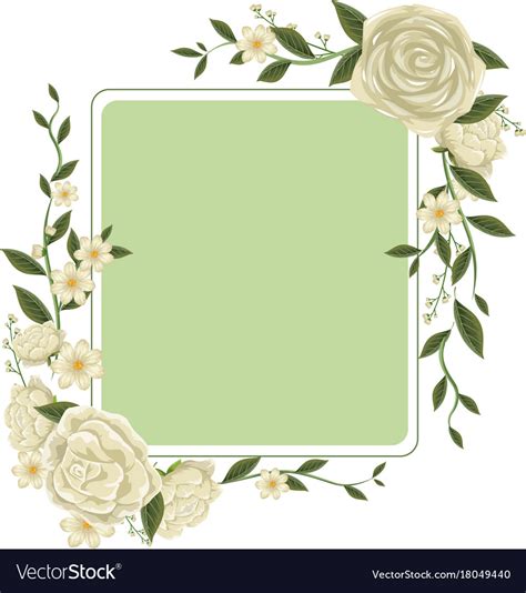 Border template with white roses Royalty Free Vector Image