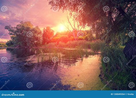 Magical Purple Sunset Over the Lake Stock Photo - Image of reflection ...