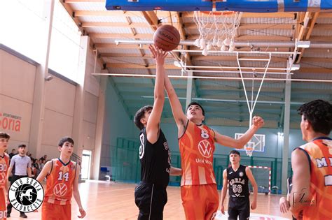 Csb Cadete Masculino Caja Rural De Soria A Club Soria Baloncesto