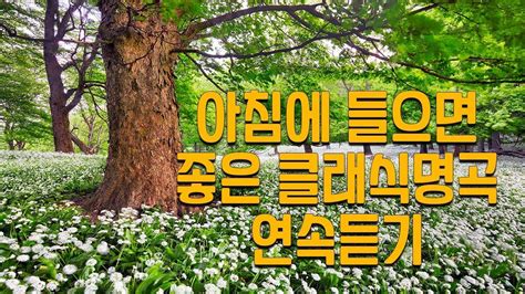 광고없음 No Ads 클래식 명곡 베스트 부드러운 아침을 위한 명곡 클래식 음악 모음 카페에서 책 읽을 때 좋은