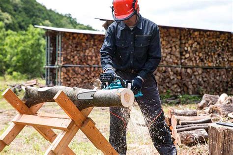 Brennholz richtig sägen und spalten Eine kurze Anleitung