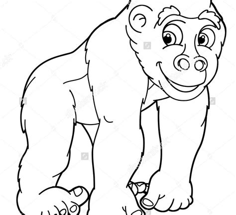 Gorillas Head Coloring Pages Coloring Pages