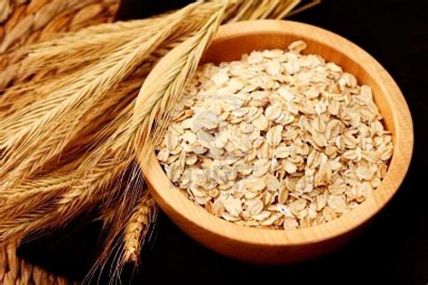 Avena campeona de las proteínas