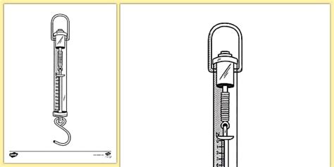 Newton Meter Colouring Sheet Colouring Sheets Twinkl