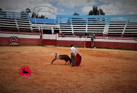 Circulo Taurino Del Centro Juan Carlos Cubas Tienta En Matara Cajamarca