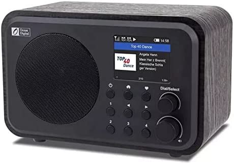 Radio Dab de Poche personnelle radios Internet WiFi Radio numérique