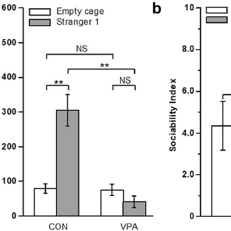 Prenatal Exposure To Valproic Acid Vpa Impaired Social Interaction In