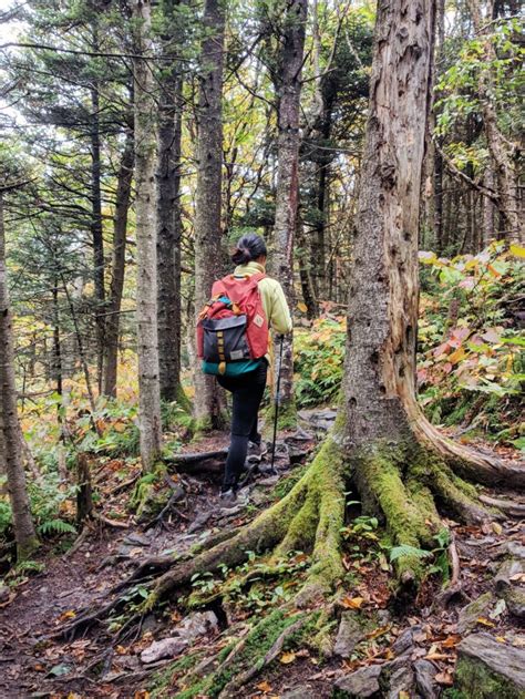 Hiking-Mt-Greylock-Fall – Roaming Boston