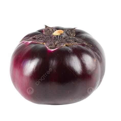 Round Purple Eggplant Vegetables Fresh Vegetables Round Purple