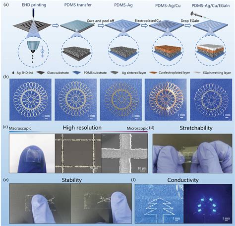 Microconfined Assembly Of Highresolution And Mechanically Robust Egain