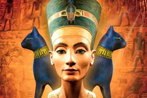 Arqu Tipo De Nefertiti Caracter Sticas Lado Luz E Sombra