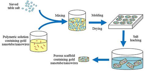 Schematic Of The Scaffold Preparation Reprinted From [49] With Download Scientific Diagram