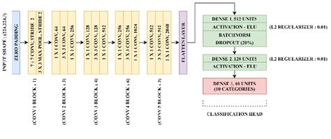 DenseNet-121 Architecture with custom classification head. | Download ...