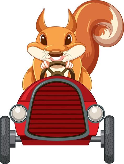 Squirrel driving red car 7094682 Vector Art at Vecteezy