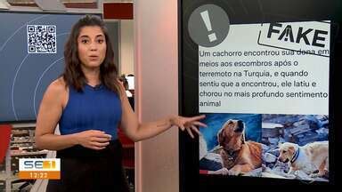 Se Tv Edi O G Esclarece O Que Fato Ou Fake Globoplay