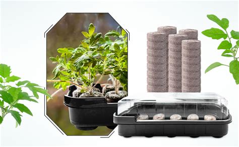 Amazon Pack Seed Starter Tray Seeding Starter Kits Cells