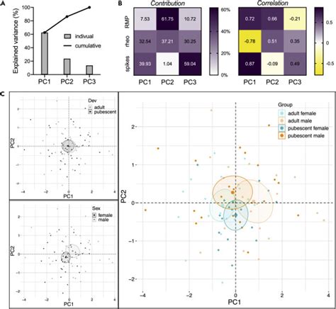 Sex Specific Divergent Maturational Trajectories In The Postnatal Rat