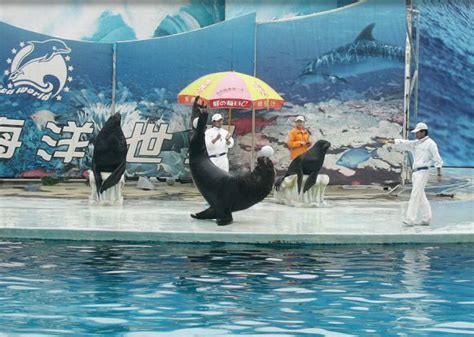 Photo Gallery of Shenzhen Sea World - www.asiavtour.com