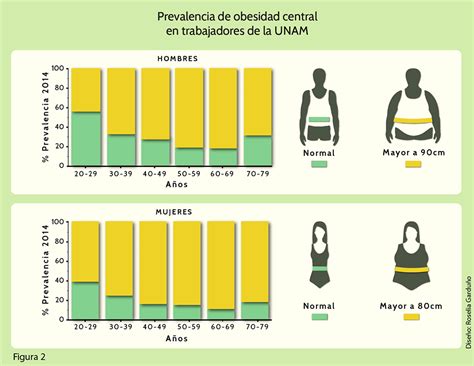 Sobrepeso vs Obesidad Descubre las Diferencias Críticas Diferenciass